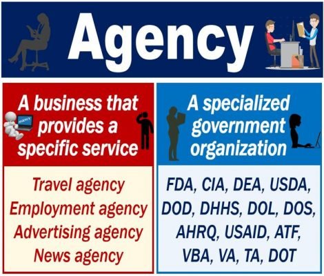 Cos'è un'agenzia? Definizione ed esempi