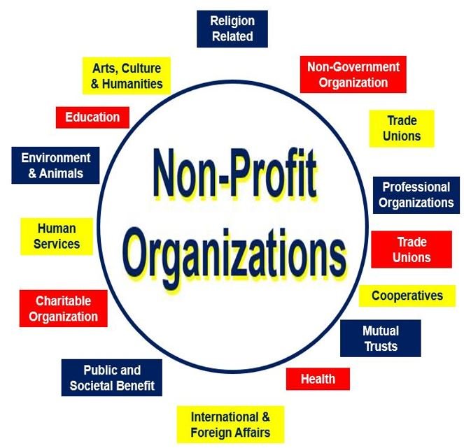 Cos'è un'organizzazione no profit? Definizione e significato