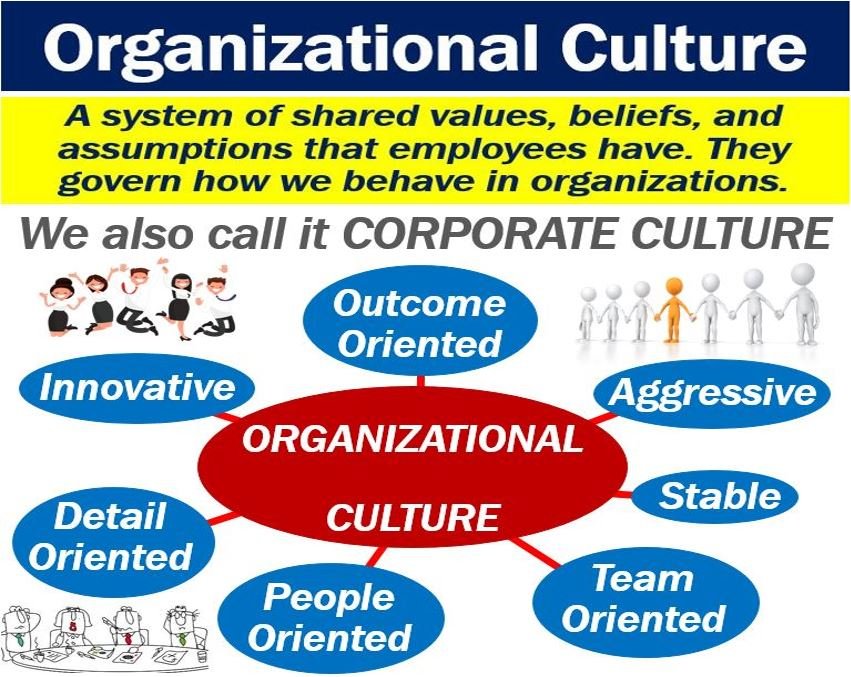 Cos'è la cultura organizzativa? Definizione ed esempi