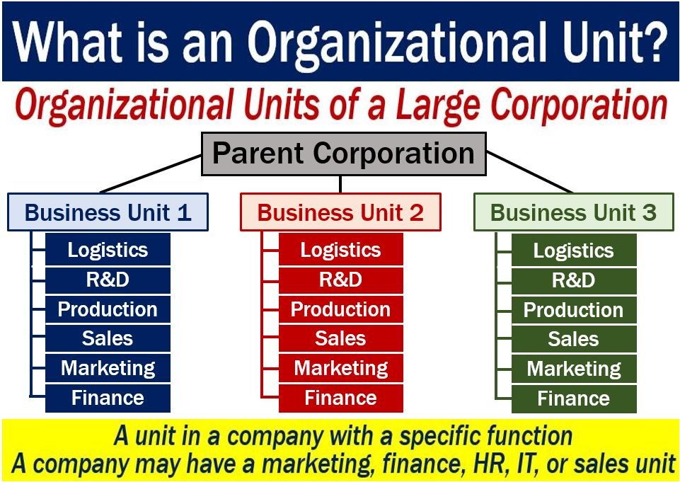 Unità organizzativa - Definizione e significato