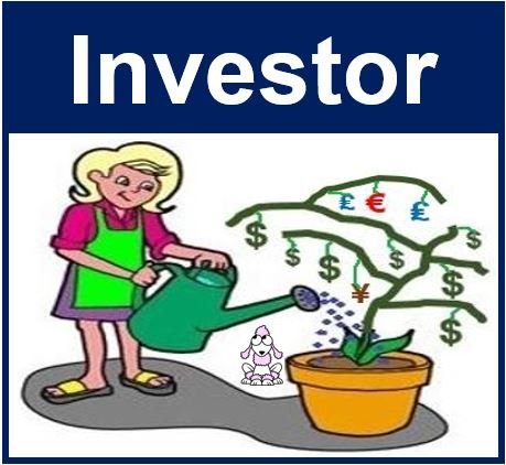 Cos'è un investitore?
