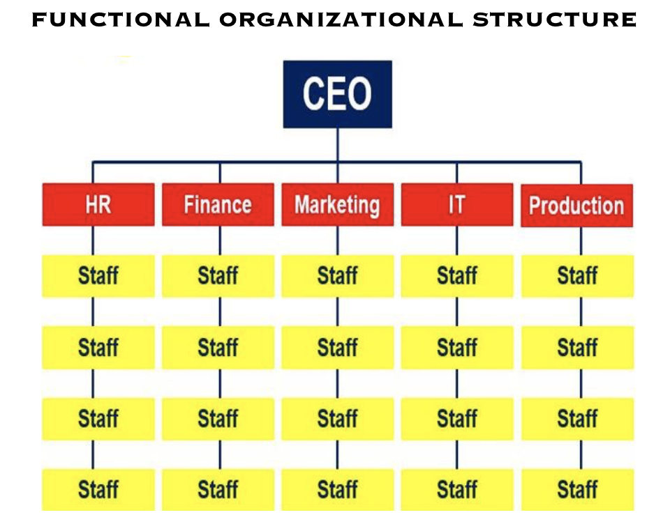 Cos'è la struttura organizzativa? Definizione e significato