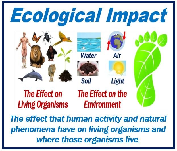 Qual è l'impatto ecologico? Definizione ed esempi