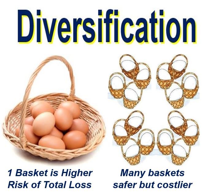 Cos'è la diversificazione? Definizione e significato