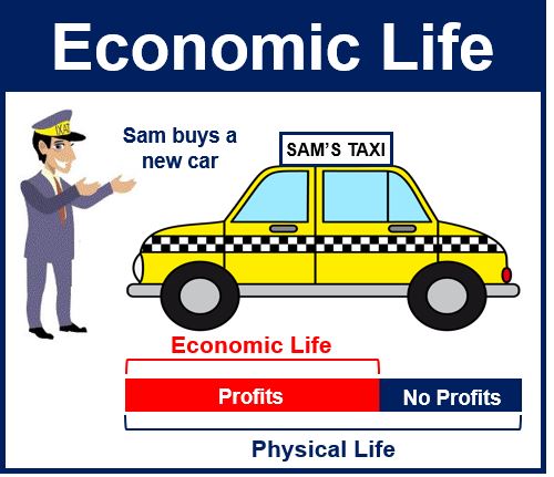 Cos'è la vita economica? Definizione ed esempio