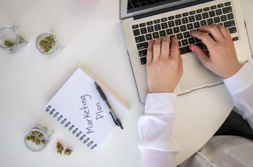 Il miglior social network aziendale di cannabis per la tua azienda