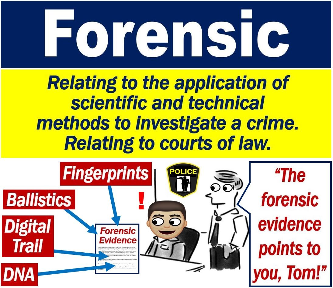 Cos'è forense? Definizione ed esempi