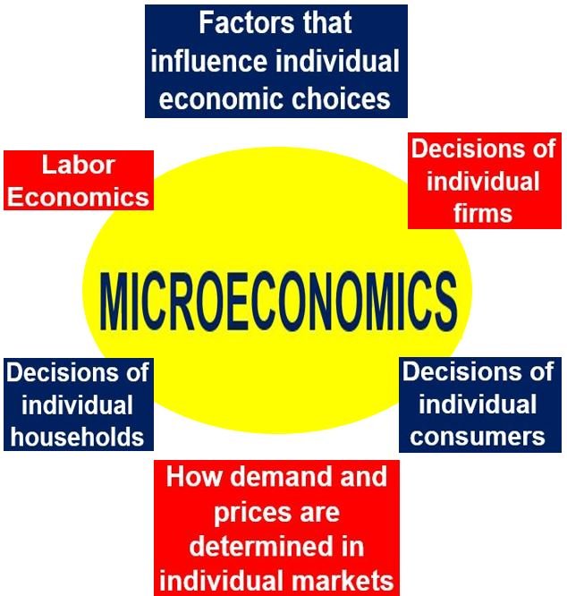 Cos'è la microeconomia? Definizione e significato