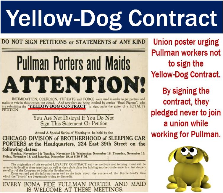 Contratto giallo -cane - Definizione e significato
