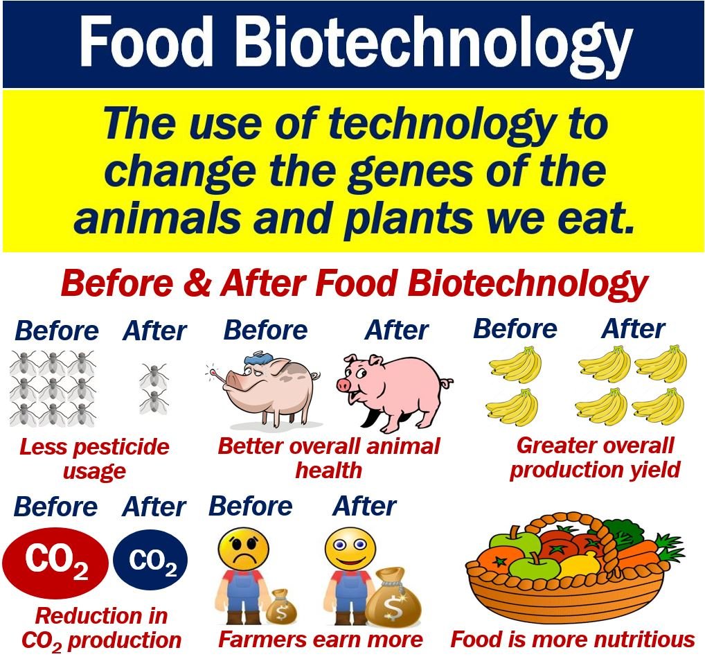 Cos'è la biotecnologia alimentare? Definizione ed esempi
