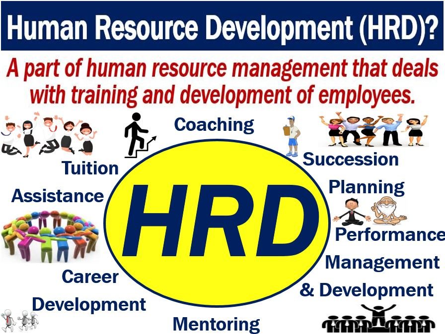Che cos'è lo sviluppo delle risorse umane (HRD)?