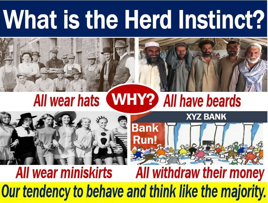 Che cos'è l'istinto Herd? Definizione e significato