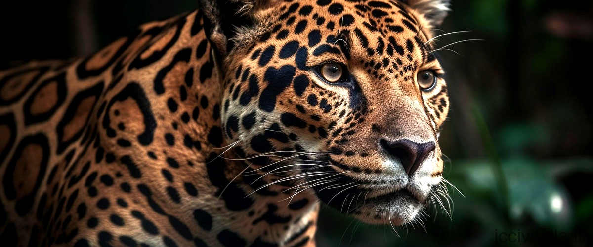Come si può definire il classicismo romantico di Leopardi?