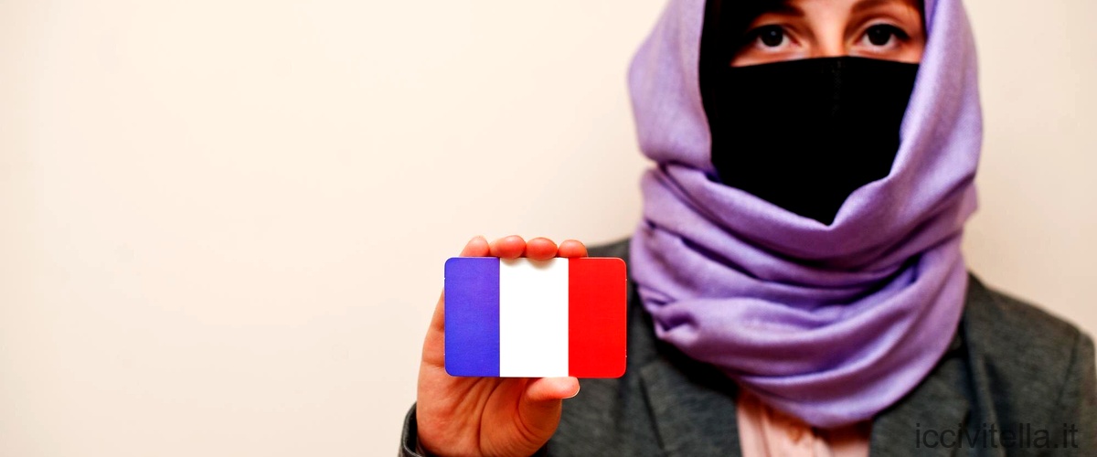 Sinonimi e contrari in francese: tutto ciò che devi sapere
